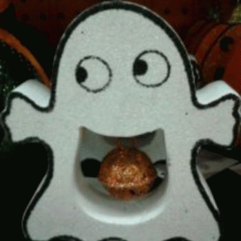 Sloth (USA-2) : 8-3-14